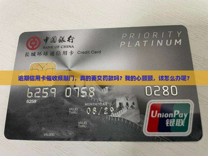 信用卡逾期会多次上门吗需要交罚款吗