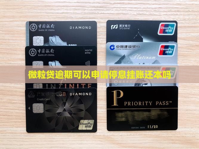 微粒贷欠款是否可以停息还本