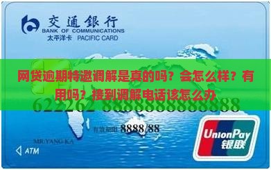 网贷逾期特邀调解