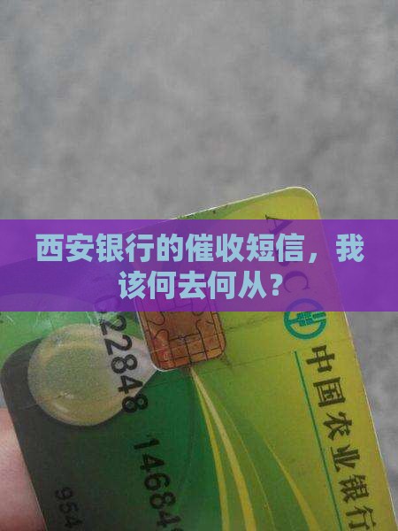 西安银行催收短信