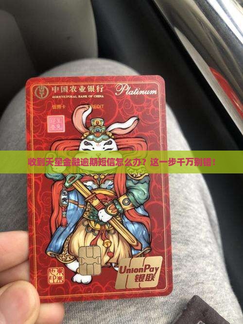 天星金融发的逾期短信该怎么处理