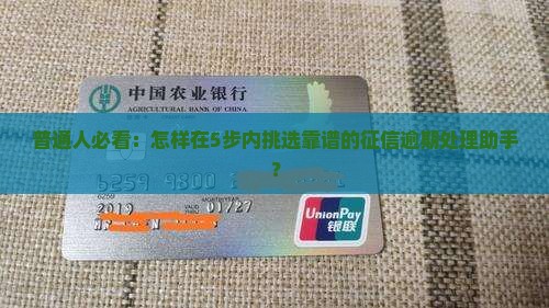 专业处理征信逾期的机构如何选择