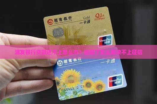浦发安居消费贷还不上怎么办