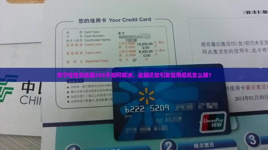 苏宁任性贷逾期200天怎么办