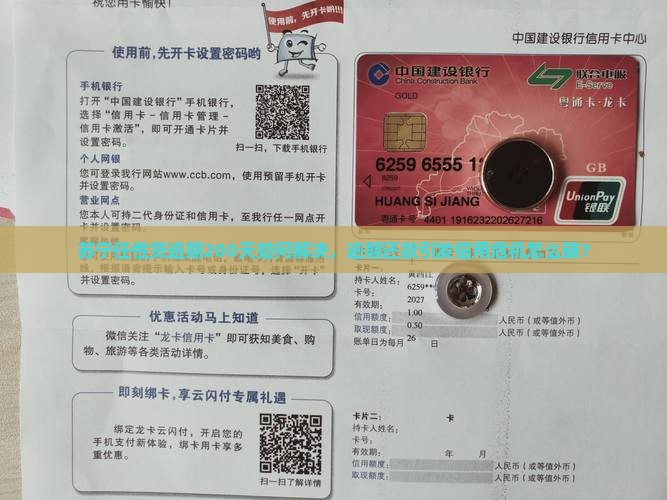 苏宁任性贷逾期200天怎么办