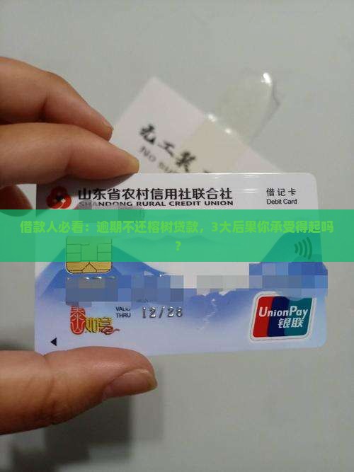 榕树贷款不还款会有什么后果 榕树贷款不还款会有什么后果