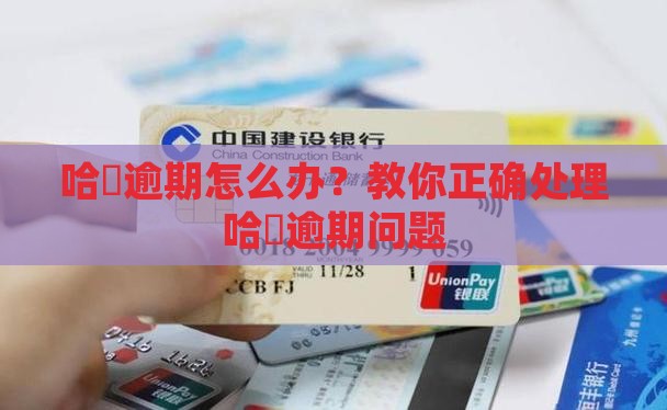 哈啰逾期处理方法