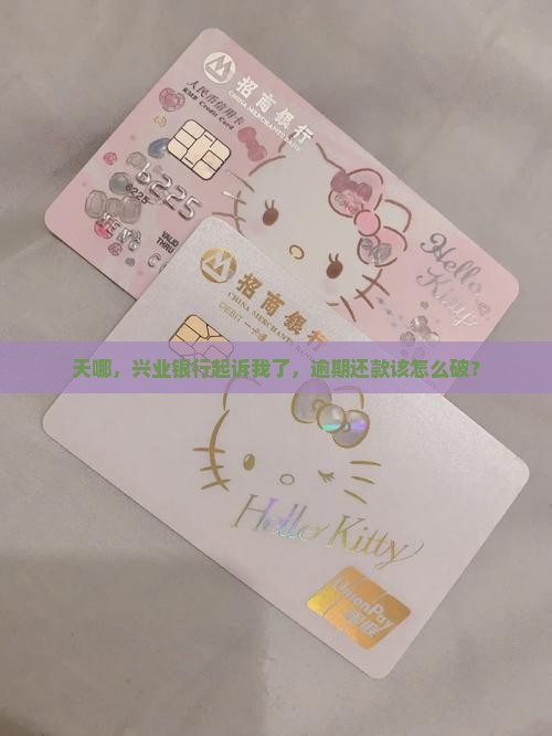 兴业银行逾期起诉我该怎么办