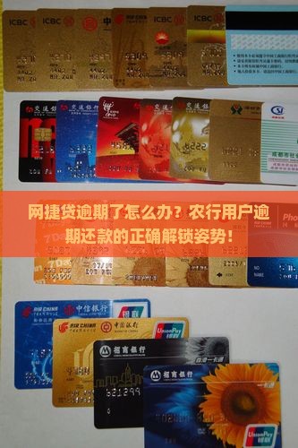 农行网捷贷逾期多久如何处理