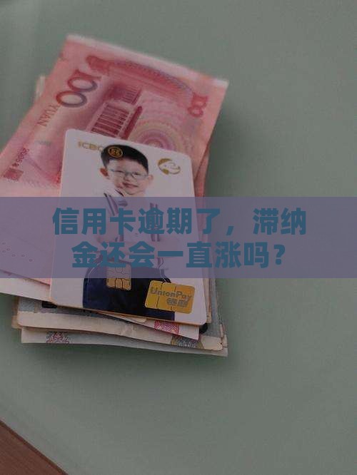 信用卡逾期滞纳金何时停止追加