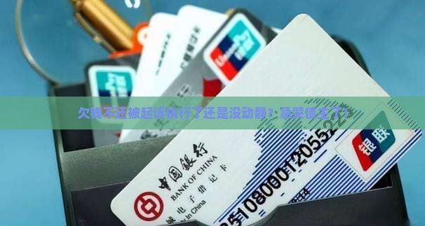 欠款起诉执行后还不还怎么办