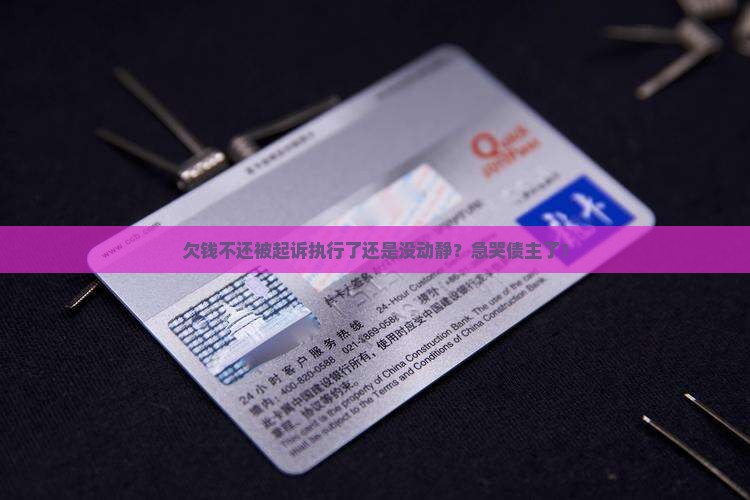欠款起诉执行后还不还怎么办