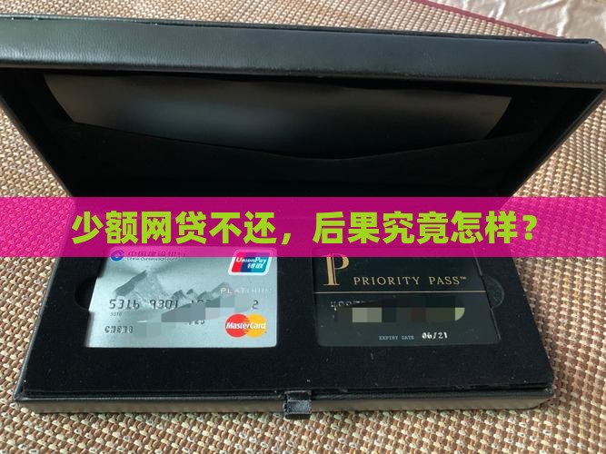 少额网贷不还会怎样