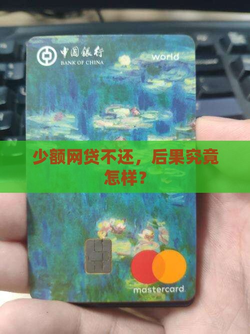 少额网贷不还会怎样
