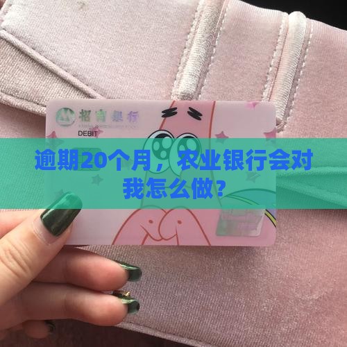 农业银行逾期20月会怎样