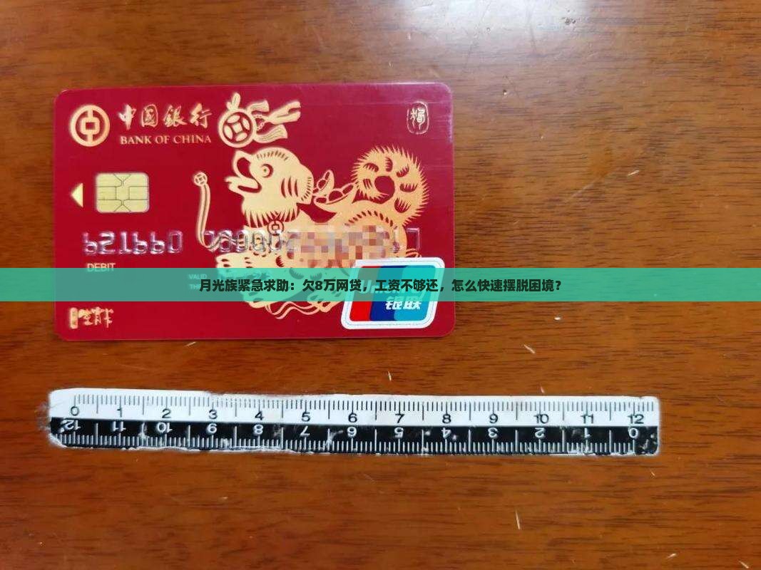 网贷欠8万怎么办