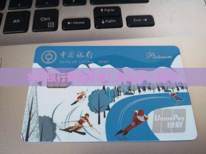 华夏银行停息缓催申请流程