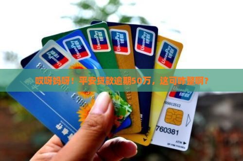 平安贷款逾期50万怎么处理