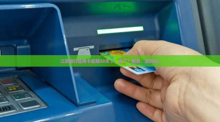 江苏银行信用卡逾期20天怎么办理