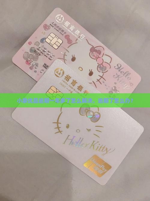 小象优品逾期一年多了怎么解决