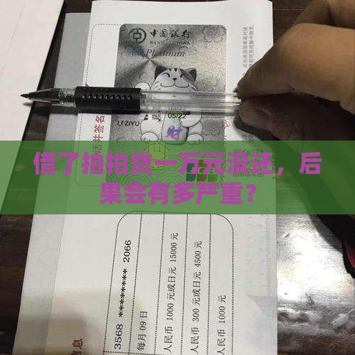 拍拍贷一万块钱不还会怎样