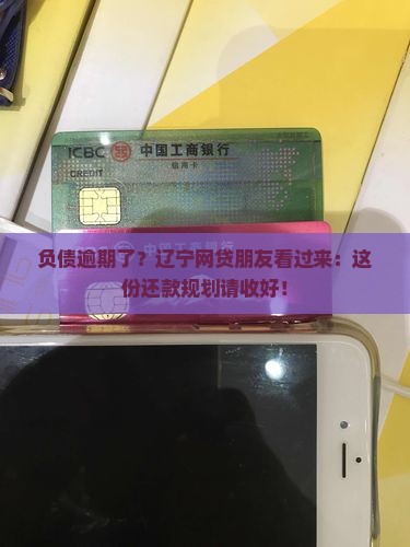 辽宁网贷负债逾期如何规划还款