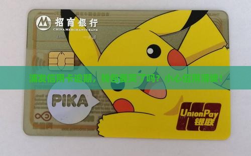 浦发银行信用卡逾期信息