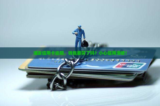 浦发银行信用卡逾期信息