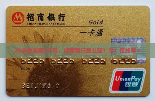 招商本金2w3逾期3个月如何处理