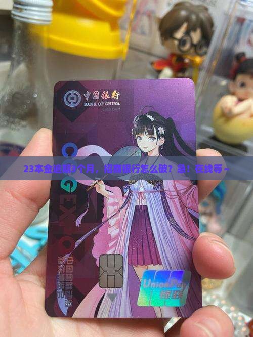 招商本金2w3逾期3个月如何处理