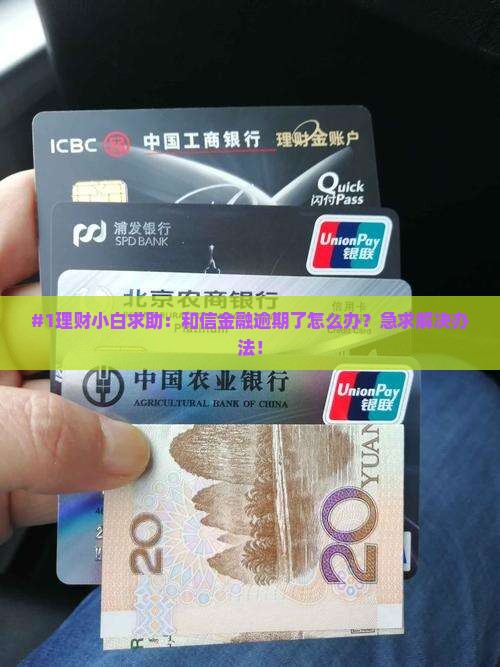 和信金融逾期了怎么处理