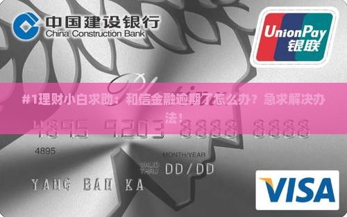 和信金融逾期了怎么处理