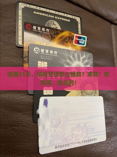 拍拍贷逾期31天了应该怎么处理