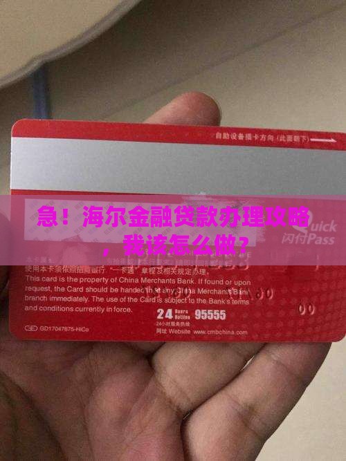海尔金融贷款怎么办