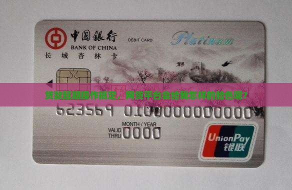 延期还款成功后网贷平台怎么显示