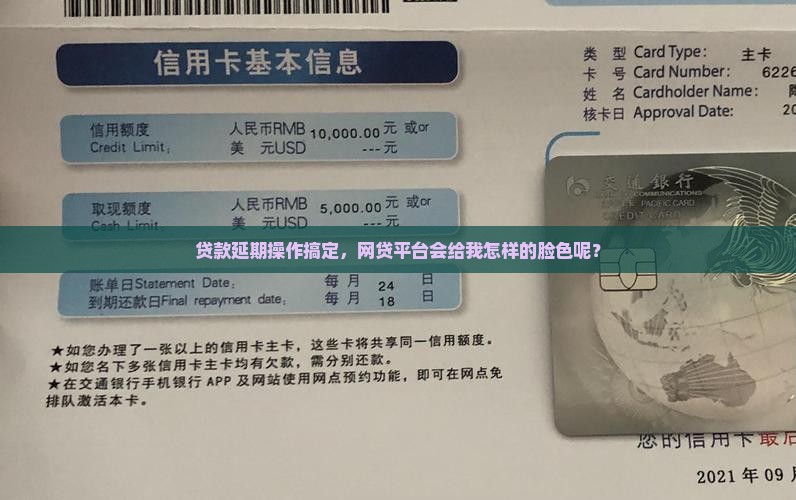 延期还款成功后网贷平台怎么显示