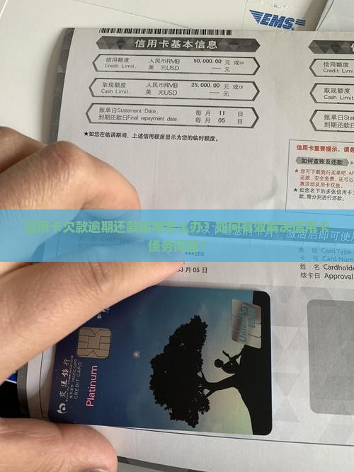 信用卡欠还不上怎么解决