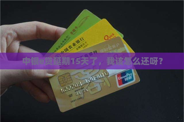 中银e贷延期15天怎么还款