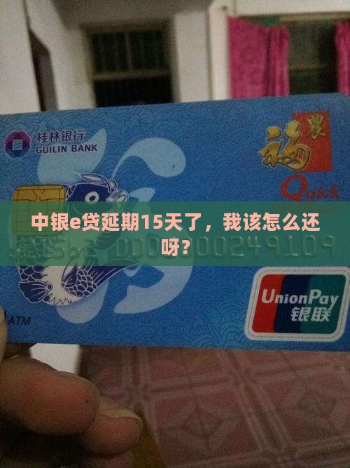 中银e贷延期15天怎么还款