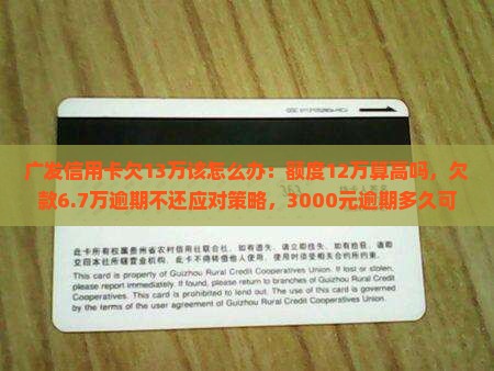 广发信用卡欠13万该怎么办