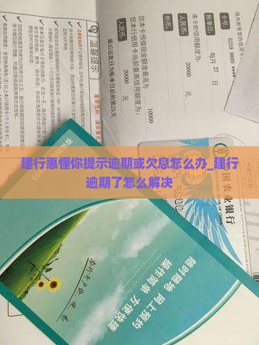 建行惠懂你提示逾期或欠息的解决办法