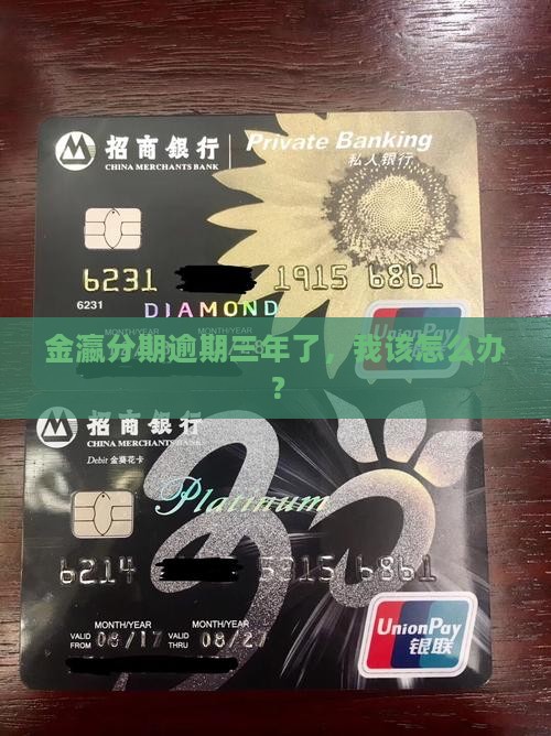 金瀛分期逾期三年如何处理