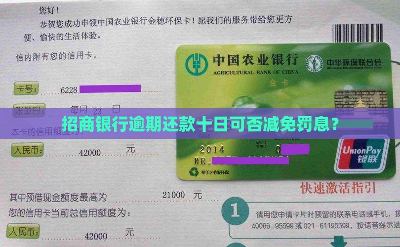 招商逾期十天可以减免罚息吗