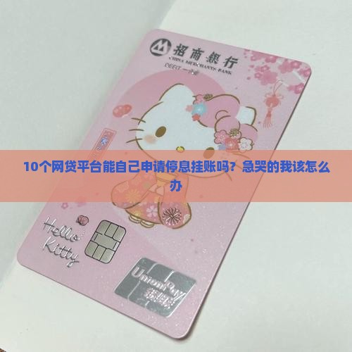 网贷平台可以自己申请停息挂账吗