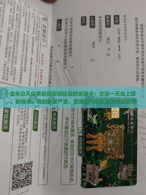 金东白天逾期上征信吗 金东白天逾期上征信吗