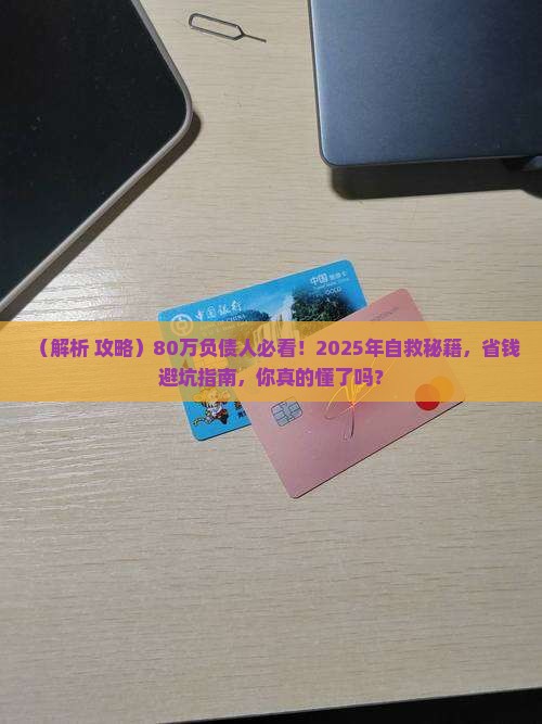 负债80万自救计划