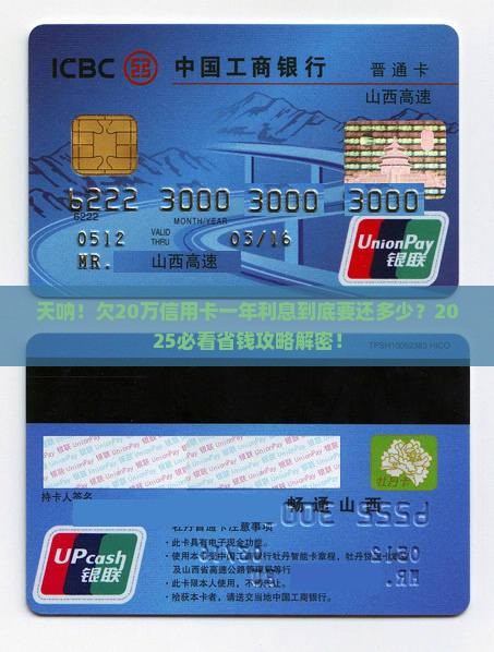 负债20万信用卡一年利息多少 负债20万信用卡一年利息多少
