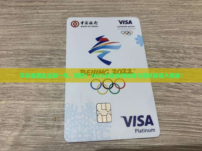 平安备用金逾期一年怎么办
