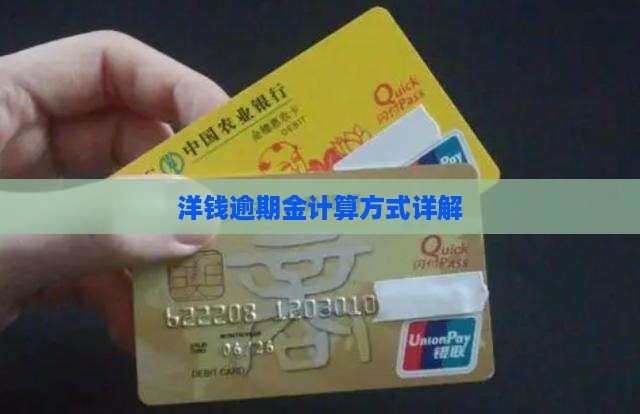 洋钱罐逾期金怎么算的详细解析