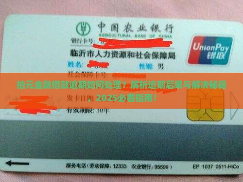 拍元金融借款逾期怎么处理